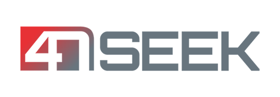 Logo 4NSEEK